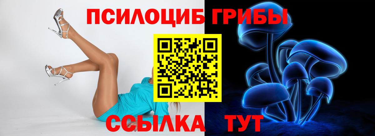 Галлюциногенные грибы Magic Shrooms Тейково
